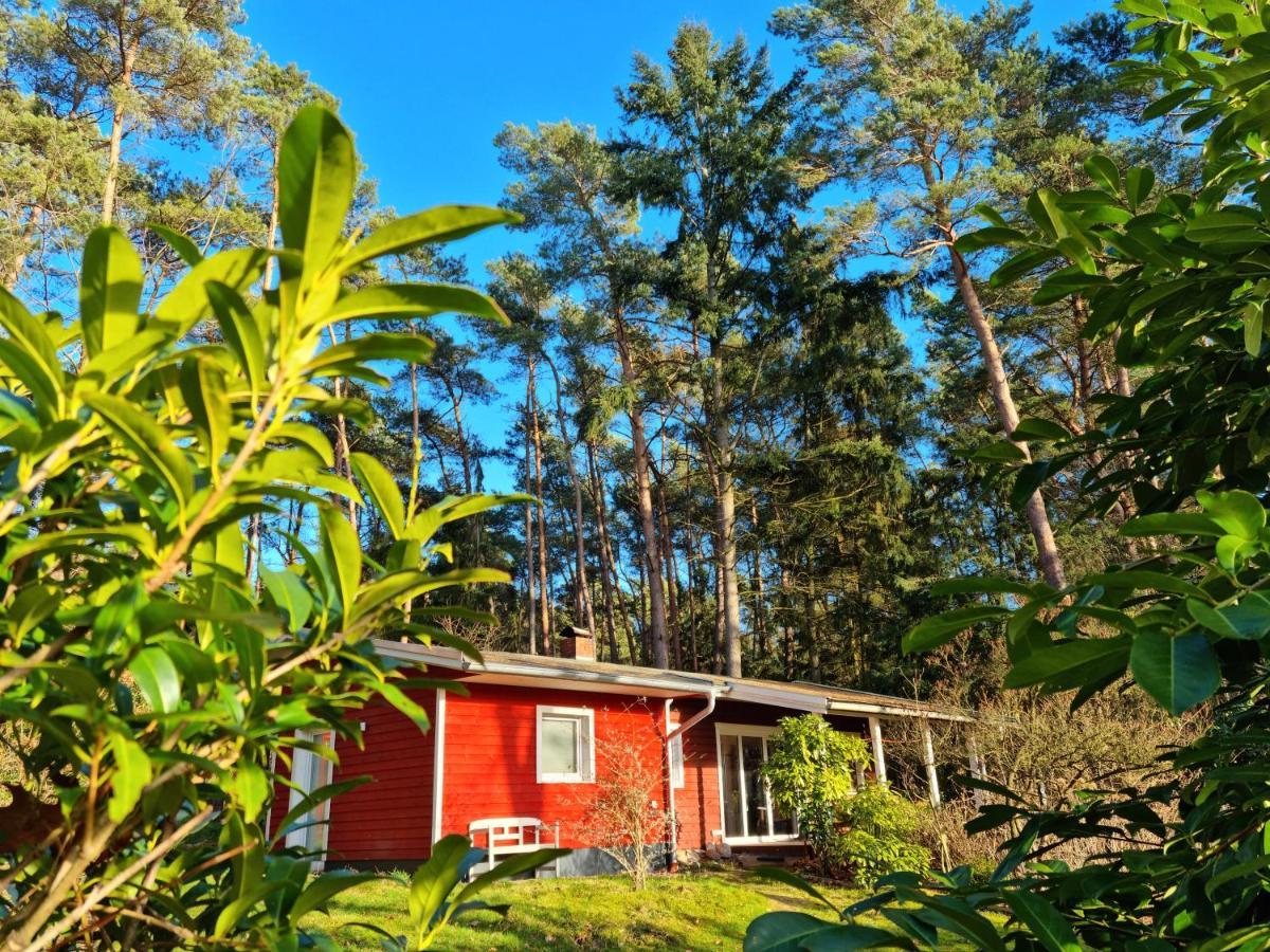 Waldhaus Doetlingen Ferienhaus Im Naturpark Екстериор снимка